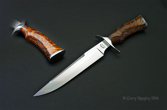 Desert ironwood