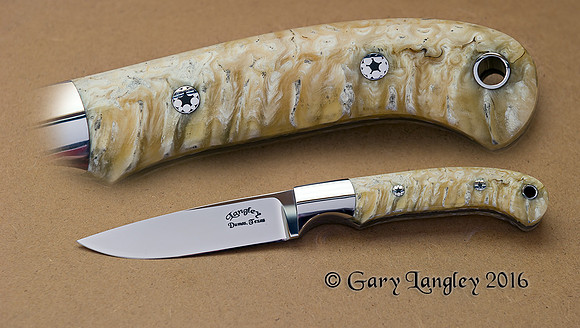 , cpm154 with Musk Ox horn