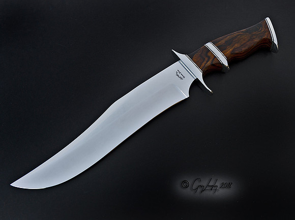 Bowie with Desert ironwood