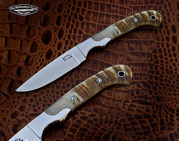 Dall Sheep Horn and CPM154   $425