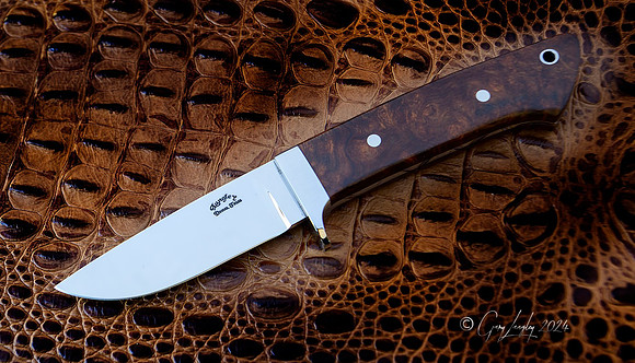 Loveless style drop point, 3 1/2" cpm154  Desert ironwood,