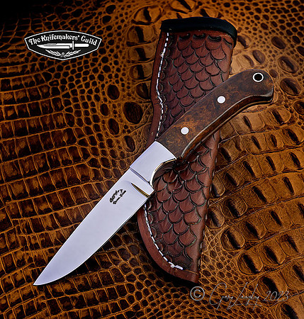 Cpm154 Desert Ironwood,