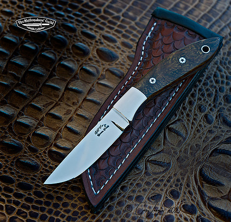 CPM154 Desert ironwood