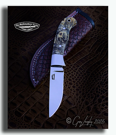 Drop Point Hunter, stabilized Spalted Maple