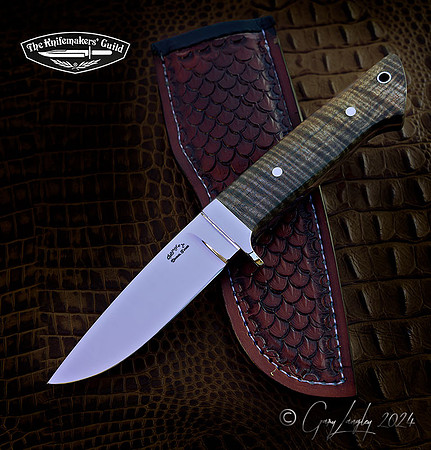 CPM154 with stabilized Curly Maple, 416 stainless guard and Tapered tang